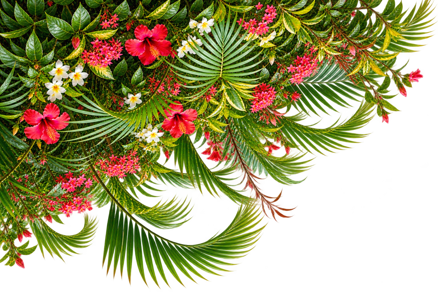 Bougainvillea Floral Branch Left